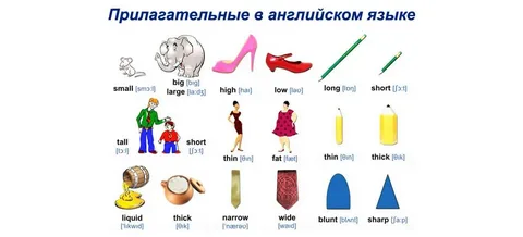 Adjectives